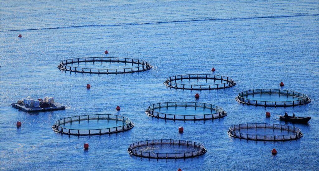 Open sea water aquaculture site - farming fin fish