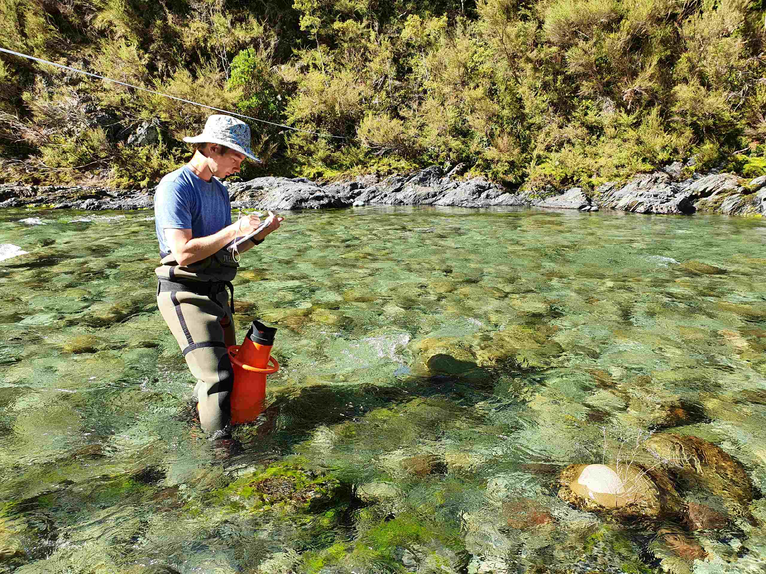 Scientist in a stream taking water samples