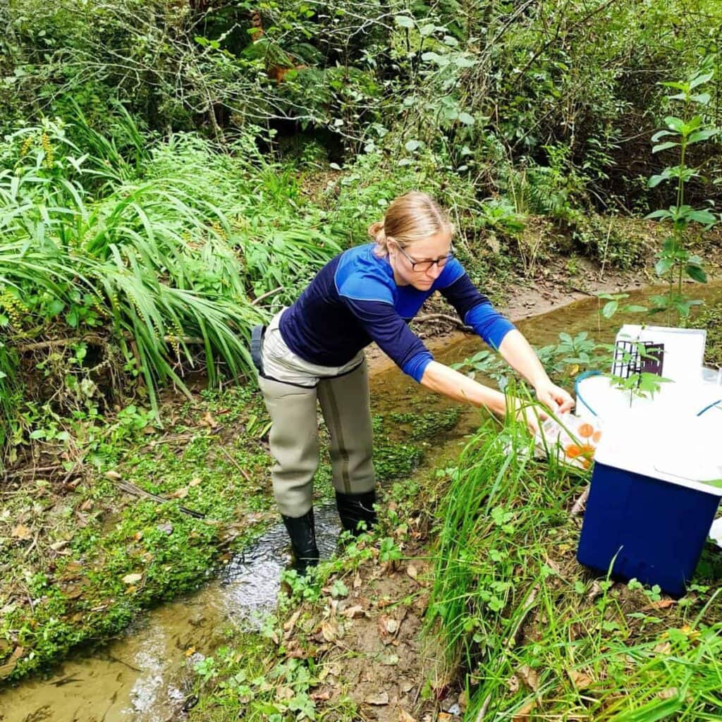 Gorgia using eDNA kit to take samples in a creek