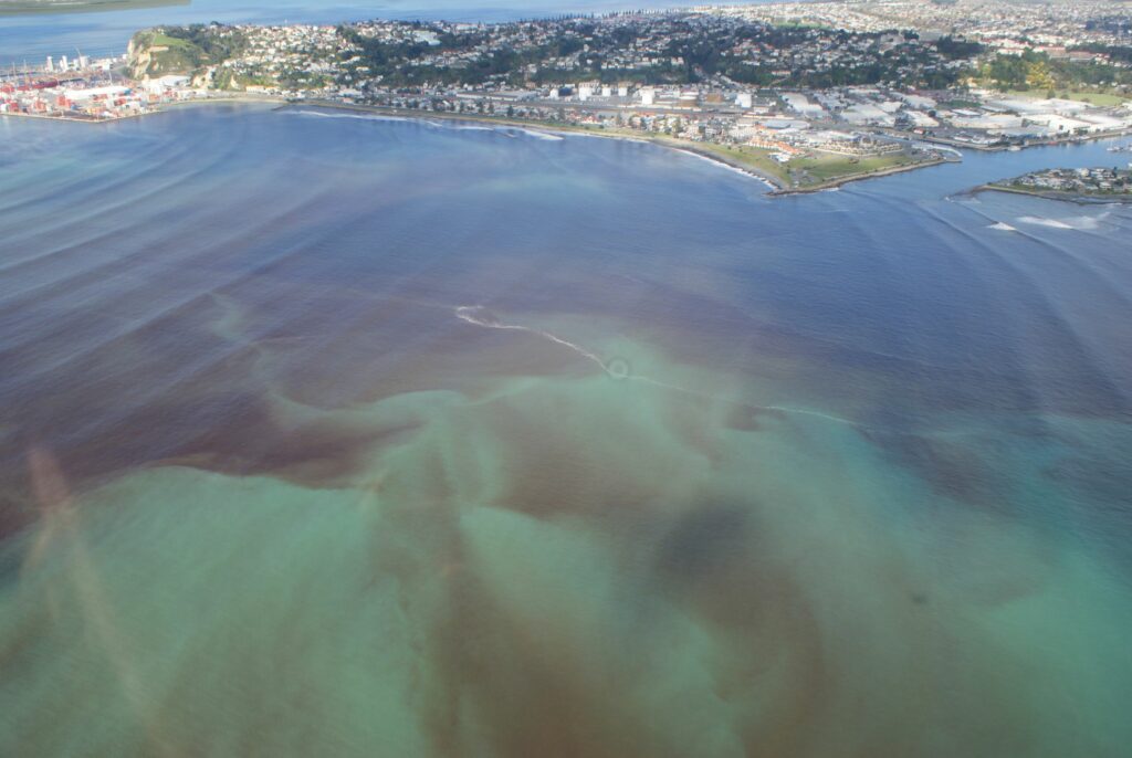 aerial shot of harmful algal bloom in sea